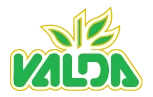 logo_valda