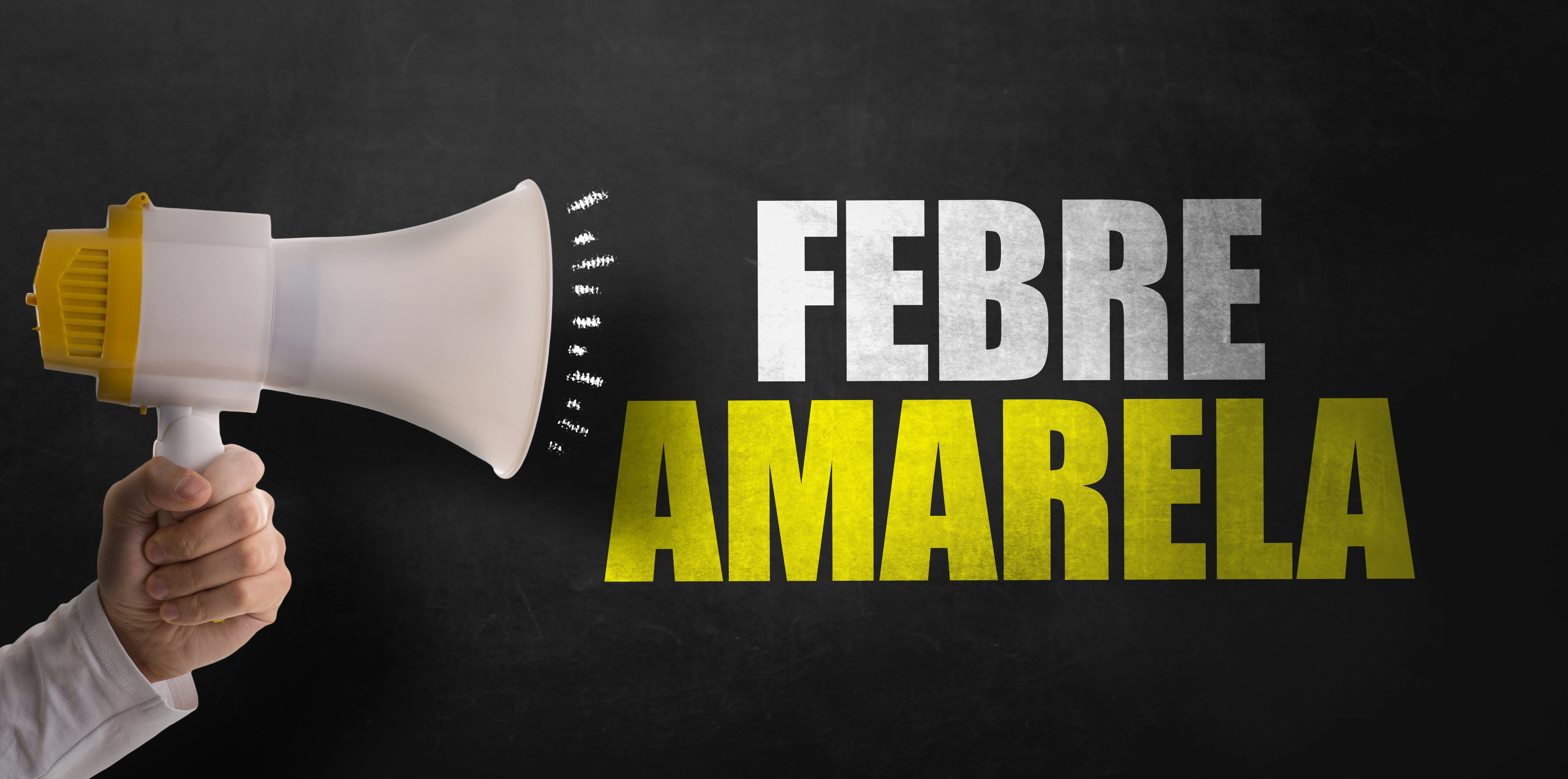 PERSPECTIVA | Febre Amarela, todos juntos no combate!